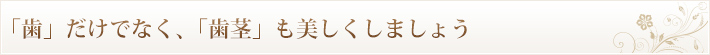 「歯」だけでなく、「歯茎」も美しくしましょう