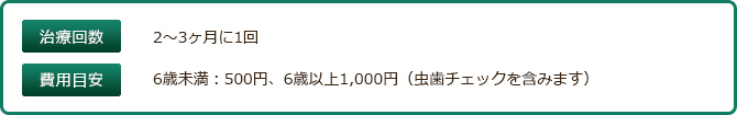 治療回数　2〜3ヶ月に1回　費用目安　6歳未満：500円、6歳以上1,000円（虫歯チェックを含みます）