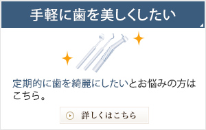 手軽に歯を美しくしたい